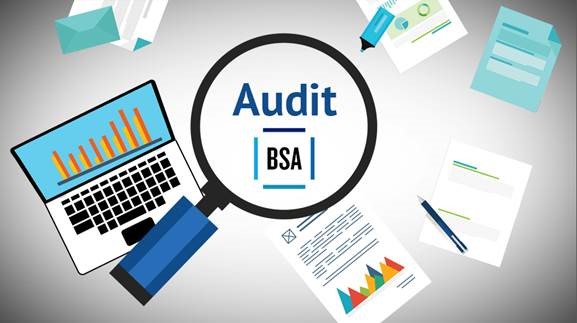 BSA Audit