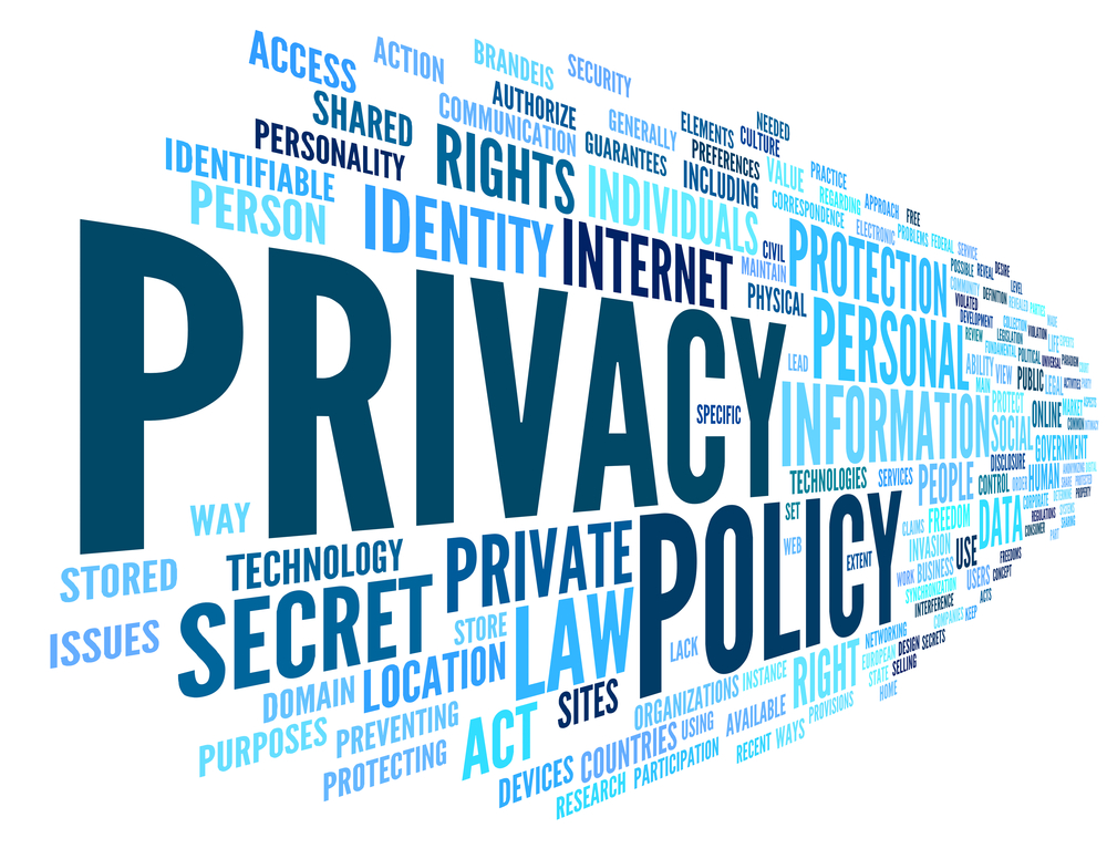Privacy Policy Development for Technology Businesses in North America
